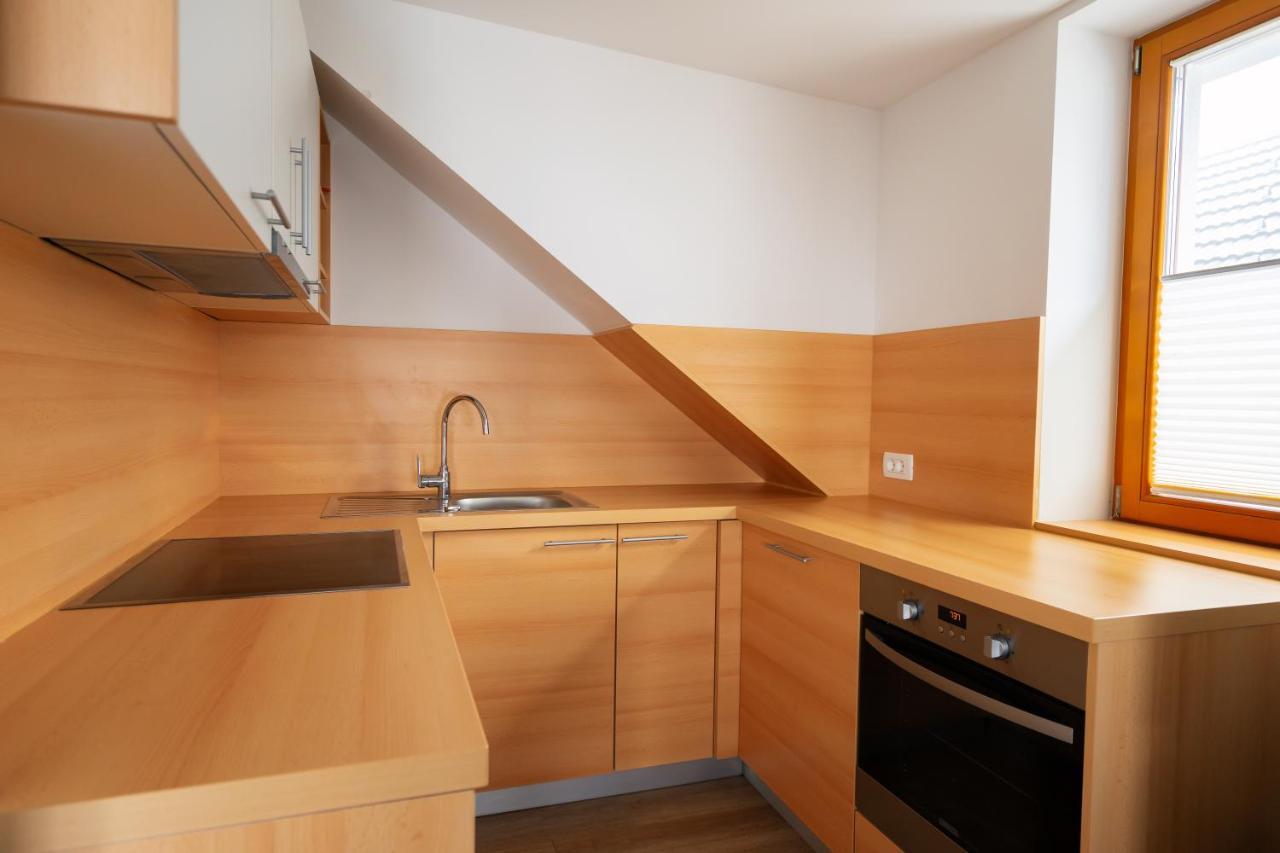 Pjagodic Apartments & Wellness Cerklje na Gorenjskem Εξωτερικό φωτογραφία